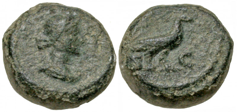 Anonymous. Time of Domitian to Antoninus Pius, A.D. 81-161. AE quadrans (13.2 mm...