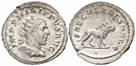 Philip I. A.D. 244-249. AR antoninianus (23.5 mm, 4.34 g, 6 h). Rome mint, struck A.D. 248. IMP PHILIPPVS AVG, radiate, draped and cuirassed bust of P...