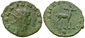 Gallienus. A.D. 253-268. AE antoninianus (20.9 mm, 2.59 g, 11 h). Rome mint, struck A.D. 267-268. GALLIENVS AVG, radiate head of Gallienus right / DIA...