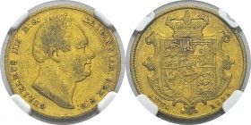 Angleterre
 Guillaume IV (1830-1837)
 1 souverain or - 1835
 TTB à Superbe - NGC XF 45
 600 / 700