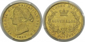 Australie 
 Victoria (1837-1901)
 1 souverain or - 1866 Sydney. 
 Superbe - PCGS AU 55
 300 / 400