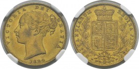 Australie 
 Victoria (1837-1901)
 1 souverain or - 1884 M Melbourne. 
 Superbe à FDC - NCG MS 62+
 300 / 400