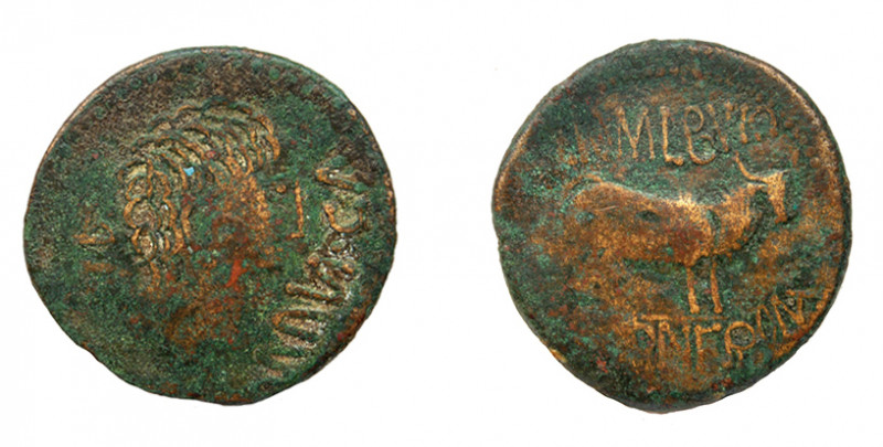 COLECCIÓN CORES. HÍBRIDA CALAGURRIS/CELSA. C. 20 a.C. As. A/ Cabeza a der.; dela...