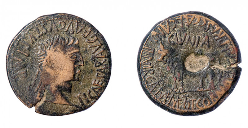 COLECCIÓN CORES. CLUNIA. TIBERIO. As. A/ Cabeza laureada a der.; TI CAESAR AVG F...