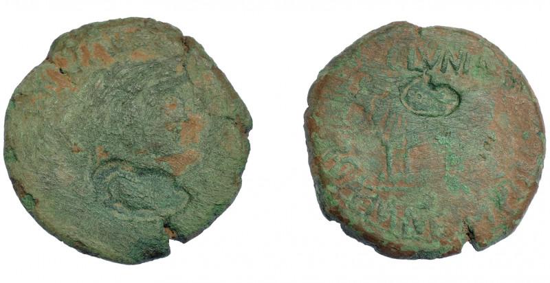 COLECCIÓN CORES. CLUNIA. TIBERIO. As. A/ Cabeza laureada a der.; TI CAESAR AVG F...