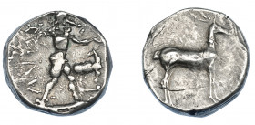 GRECIA ANTIGUA. BRUTTIUM. Caulonia. Estátera (475-425 a.C.). A/ Apolo a der., delante ciervo con cabeza vuelta. R/ Ciervo a der. AR 7,70 g. 18,8 mm. C...