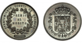 ALFONSO XII. Medalla. Ayuntamiento de Granada. Premio al Mérito. Grabador: Barrére. AE 36,5 mm. SC.