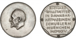MONEDAS EXTRANJERAS. ALEMANIA. Medalla. Richard Willstaetter. 1925. Premio Nobel de Química en 1915. AR 49,5 mm. Grabador H. Hahn. EBC.