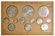 MONEDAS EXTRANJERAS. MÉXICO. Estuche con 12 monedas. Total 20,25 onzas de plata pura. 1992-1994. SC.