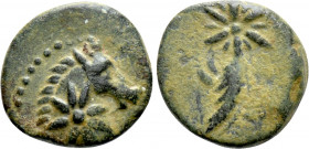 PONTOS. Uncertain, possibly Amisos. Ae. Struck under Mithradates VI (Circa 119-100 BC)