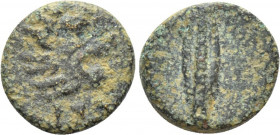 CYPRUS. Marion. Stasioikos II (Circa 330-312 BC). Ae
