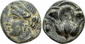 CYPRUS. Paphos. Timocharis (Circa 385 BC). Ae