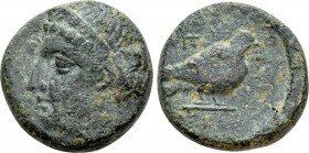 CYPRUS. Paphos(?). Timocharis ? (Circa 385 BC). Ae