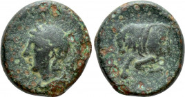 CYPRUS. Salamis. Evagoras II (Circa 361-351 BC). Ae