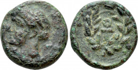 CYPRUS. Soloi. Evnostos (Circa 310 BC). Ae