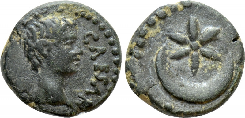 UNCERTAIN (BERYTUS?). Uncertain emperor (Drusus?). Ae. 

Obv: CAESAR. 
Bare h...