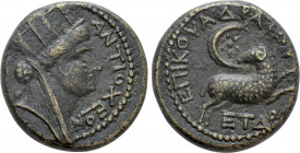 SELEUCIS & PIERIA. Antioch. Pseudo-autonomous. Time of Nero (54-68). Q. Ummidius Durmius Quadratus, legatus. Dated year 104 of the Caesarean Era (55/6...