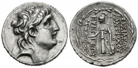 REINO SELEUCIDA, Antiocos VII Euergetes. Tetradracma. (Ar. 16,61g/29mm). 138-129 a.C. Orontes. (HGC 9, 1067d). Anv: Cabeza masculina diademada a derec...