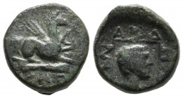 TRACIA, Abdera. Ae14. (Ae. 3,65g/14mm). 311-280 a.C. (HGC 3.2, 1241). Anv: Grifo sentado a derecha sobre clava. Rev: Cabeza masculina a derecha, alred...