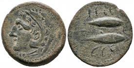 GADES (Cádiz). As. (Ae. 10,24g/27mm). 100-20 a.C. Anv: Cabeza de Hércules a izquierda, detrás clava. Rev: Dos atunes a izquierda, leyenda púnica arrib...