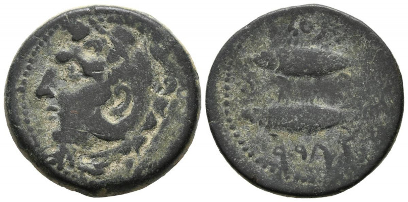 GADES (Cádiz). As. (Ae. 10,38g/25mm). 100-20 a.C. (FAB-1339). Anv: Cabeza de Hér...