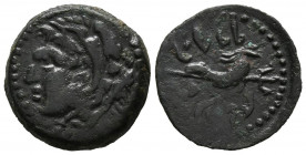GADES (Cádiz). Cuadrante (Ae. 2,33g/17mm). 100-20 a.C. (FAB-1356). Anv: cabeza de Hércules a izquierda detrás clava; Rev: delfín a izquierda, detrás t...