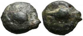 ACUÑACIONES ANONIMAS. Uncia. (Ae. 22,39g/29mm). 270 a.C. (ca.). Roma. (Crawford 18/6). Anv: Grano de trigo, a su izquierda punto. Rev: Grano de trigo,...