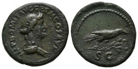 DOMICIANO. Semis (Ae. 3,63g/19mm). 90-91 d.C. Roma. (C 527) Anv: busto laureado de Apolo a derecha, en leyenda: IMP DOMIT AVG GERM COS XVI; Rev: cuerv...