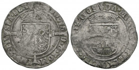 CARLOS I (1516-1556). 1/2 Real (Ar. 2,75g/26mm). S/D. Amberes. (Vicenti 484). Marca de ceca en anverso y reverso. MBC-.