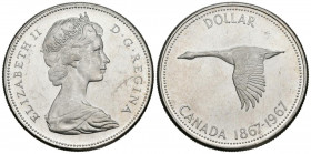 CANADÁ. 1 Dollar (Ar. 23.32g/36mm). 1967. (Km#70). EBC+. Rayitas.