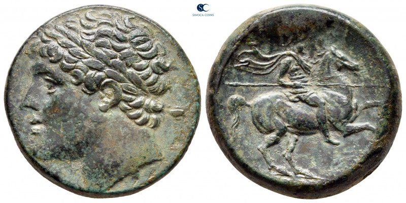 Sicily. Syracuse. Hieron II 275-215 BC. 
Bronze Æ

25 mm, 16,83 g

Laureate...