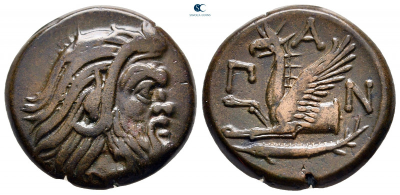 Cimmerian Bosporos. Pantikapaion circa 310-304 BC. 
Bronze Æ

22 mm, 8,08 g
...