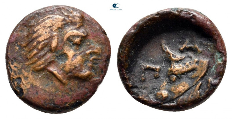 Cimmerian Bosporos. Pantikapaion circa 310-304 BC. 
Bronze Æ

10 mm, 0,86 g
...