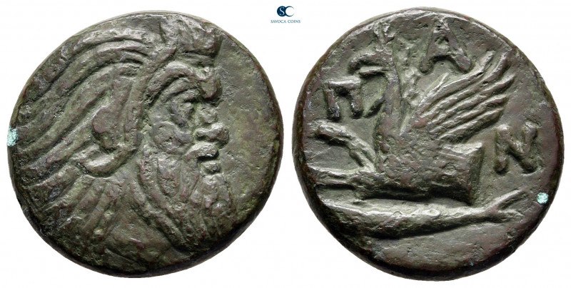Cimmerian Bosporos. Pantikapaion circa 310-304 BC. 
Bronze Æ

21 mm, 6,14 g
...