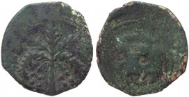 Regno di Sicilia - Messina - Guglielmo II (1166-1189) Trifollaro - D/ Maschera di Leone R/ Palma con Datteri - MIR 36 / Spahr 117 - Cu - gr. 9,28

B...
