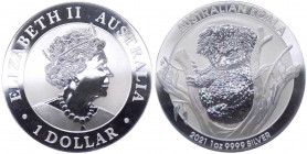 Australia - Elisabetta II (dal 1952) 1 Dollaro (1 Oncia) 2021 "Koala" - Ag proof - In capsula

FS

Note: Worldwide shipping