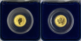 Canada - Elisabetta II (dal 1952) 10 Dollari (1/4 di Oncia) 2000 - KM 189 - Au - gr. 7,97

FDC

Note: Worldwide shipping