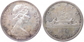 Canada - Elisabetta II (dal 1953) 1 Dollaro 1966 - Patina - KM# 64.1 - Ag

SPL+

Note: Worldwide shipping