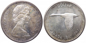 Canada - Elisabetta II (dal 1953) 1 Dollaro 1967 - Patina - KM# 70 - Ag

SPL+

Note: Worldwide shipping
