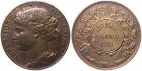 Medaglia - per l' Academie Normande - 1889 - opus Kluge - Ae

n.a.

Note: Shipping only in Italy