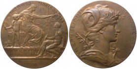 Medaglia - emessa per l'Esposizione Internazionale di Parigi del 1889 - opus Dupuis - Ae

n.a.

Note: Shipping only in Italy
