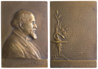 Placca - dedicata ad Étienne Clément (1843-1907), medico - 1907 - opus Aubert - Ae

SPL+

Note: Shipping only in Italy