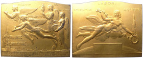 Placca - emessa per l'Esposizione Universale di Bruxelles del 1935 - opus Bonnetain - Ae dorato

n.a.

Note: Shipping only in Italy