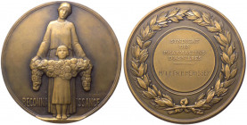 Medaglia - emessa dal Syndicat de Pharmaciens d'Asnières in segno di riconoscimento a H. Herissey - XX secolo - opus Desvignes - Ae

n.a.

Note: S...