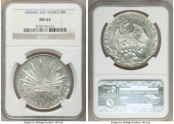 Republic 8 Reales 1893 Mo-AM MS64 NGC, Mexico City mint, KM377.10, DP-Mo79. Lustrous semi-Prooflike fields, untoned. 

HID09801242017

© 2020 Heri...