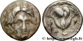 CARIA - CARIAN ISLANDS - RHODES
Type : Didrachme 
Date : c. 305-275 AC. 
Mint name / Town : Rhodes, Carie 
Metal : silver 
Diameter : 18,5  mm
Orienta...