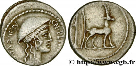 PLANCIA
Type : Denier 
Date : 55 AC. 
Mint name / Town : Rome 
Metal : silver 
Millesimal fineness : 950  ‰
Diameter : 18  mm
Orientation dies : 11  h...
