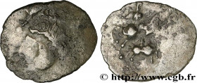 BITURIGES CUBI, UNSPECIFIED
Type : Drachme “de Cheverny”, tête à gauche 
Date : c. 60-50 AC. 
Metal : silver 
Diameter : 16  mm
Orientation dies : 9  ...
