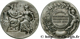 III REPUBLIC
Type : Médaille, Alliance franco-russe 
Date : 1893 
Metal : silver 
Diameter : 26,5  mm
Weight : 9,35  g.
Edge : lisse + corne ARGENT 
P...