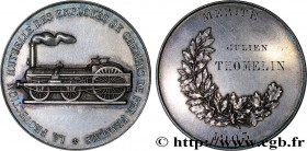 INSURANCES
Type : Médaille de mérite, La protection mutuelle des employés de chemins de fer 
Date : 1903 
Metal : silver 
Diameter : 46,5  mm
Weight :...